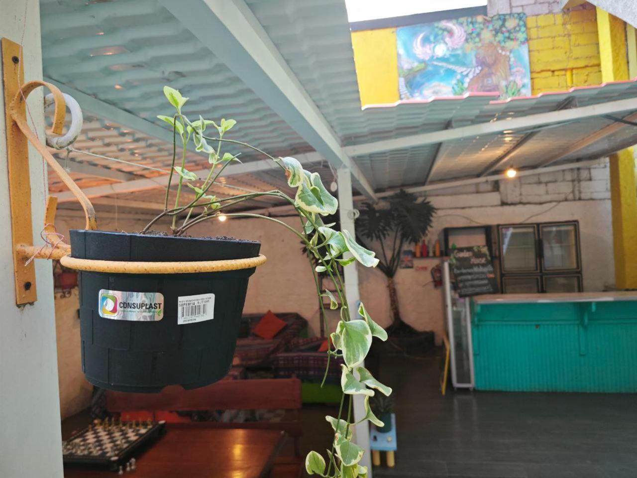 Garden House Hostal 바뇨스 외부 사진