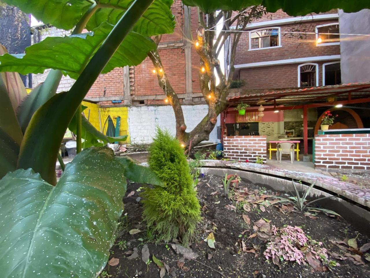 Garden House Hostal 바뇨스 외부 사진