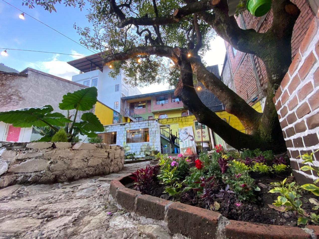 Garden House Hostal 바뇨스 외부 사진