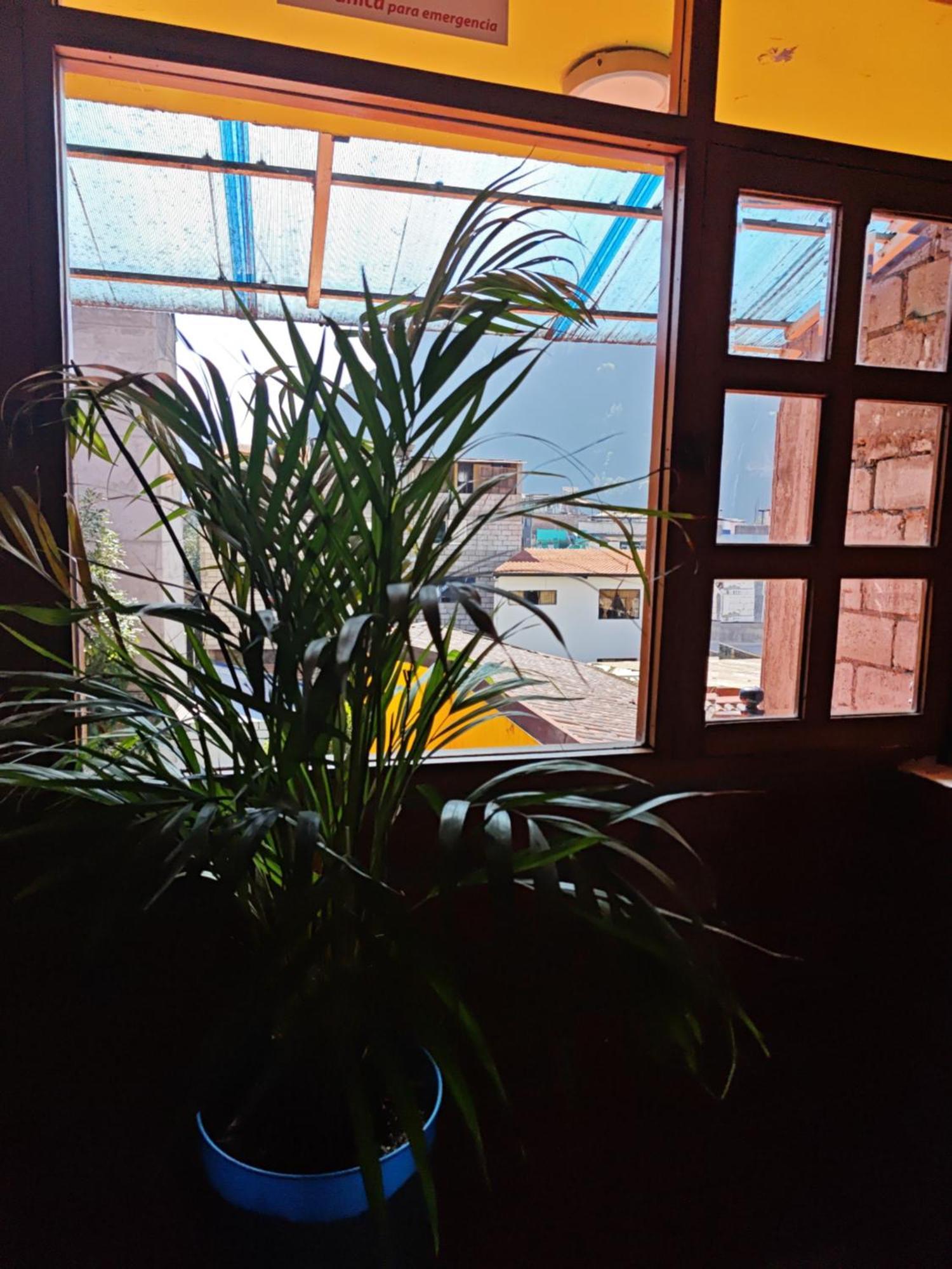 Garden House Hostal 바뇨스 외부 사진