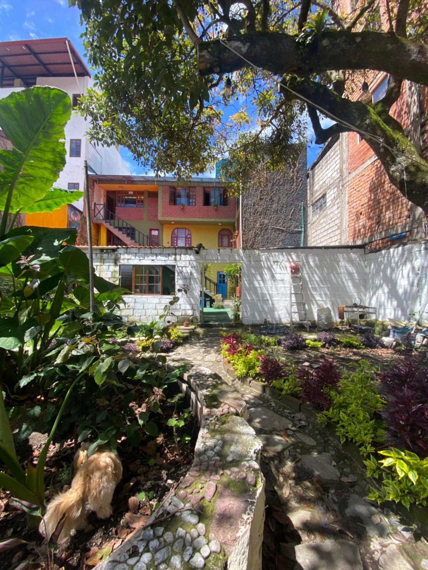 Garden House Hostal 바뇨스 외부 사진